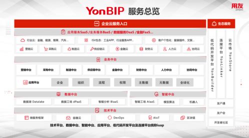 用友YonBIP 讓企業(yè)乘風破浪，創(chuàng)新更便捷的商務(wù)服務(wù)