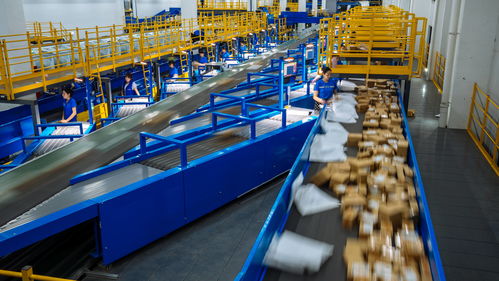 春節(jié)快遞不打烊 多家公司回應，商務服務不打烊成新常態(tài)